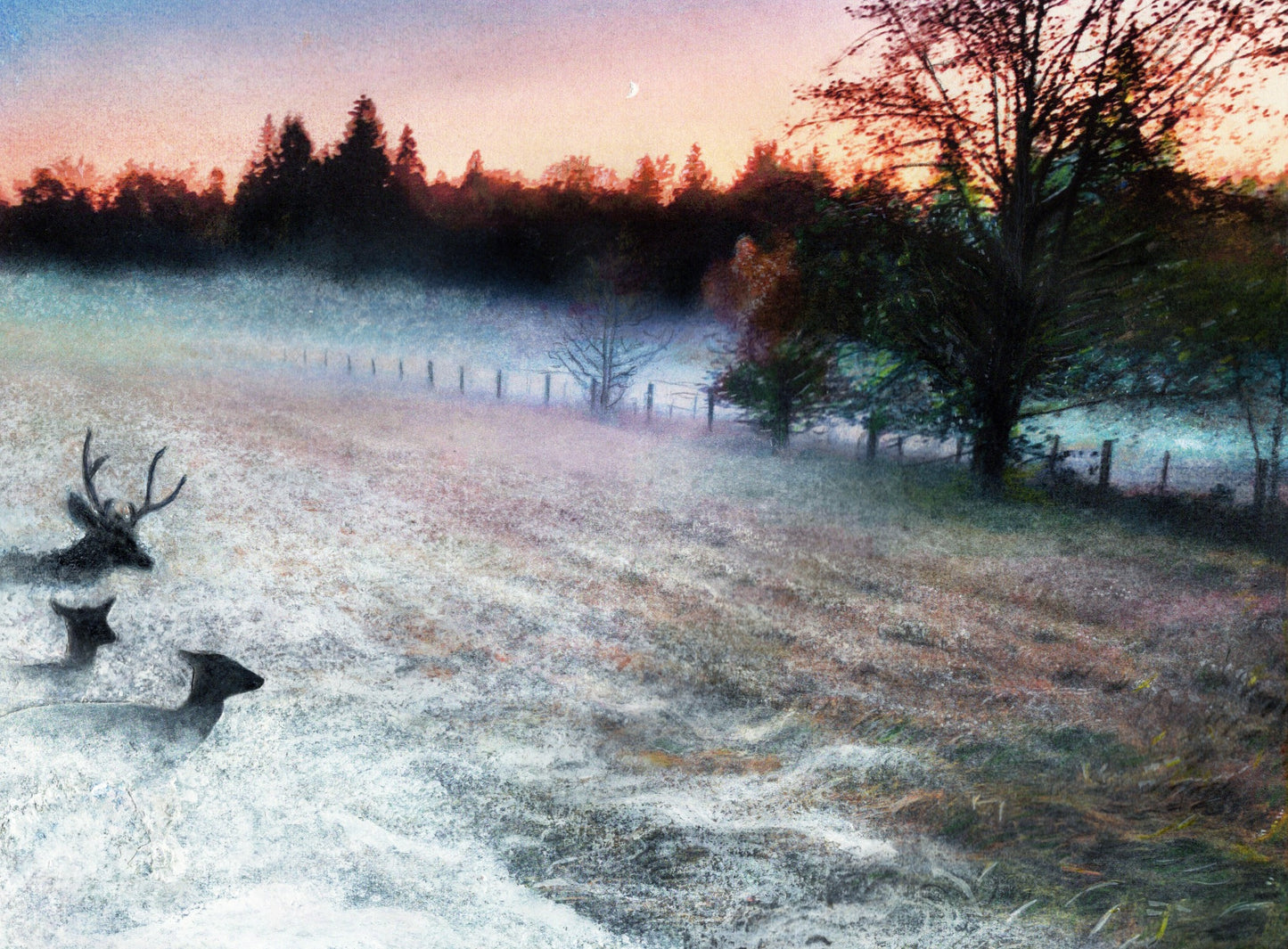 Fog in the Deer Field