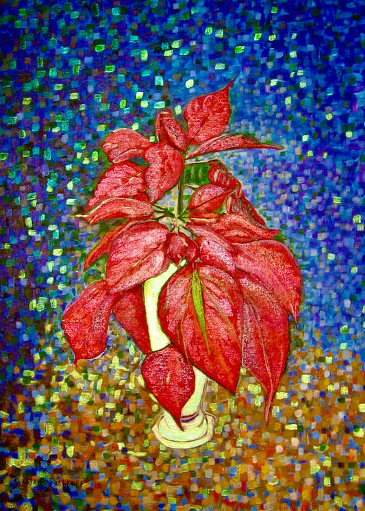 Poinsettia